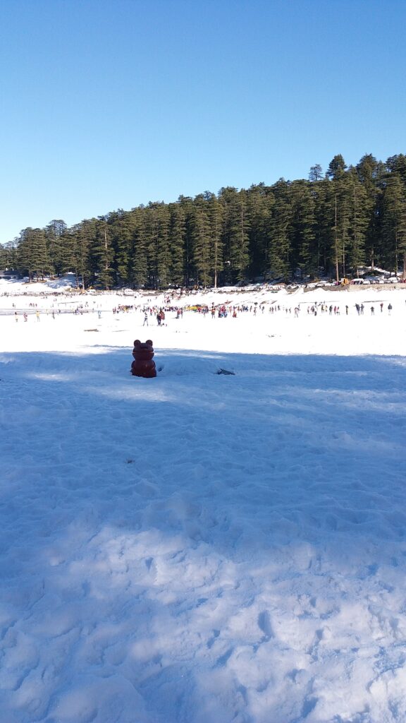 khajjiar-in-ice