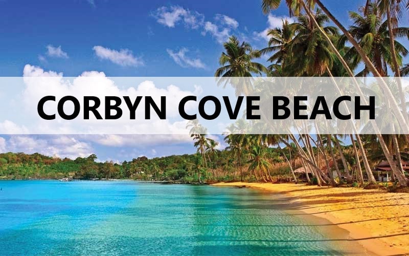 Corbyn-Cove-Beach