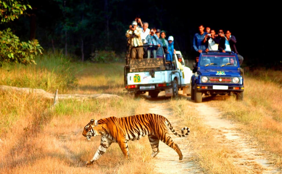 jeepSafariinCorbettNationalPark