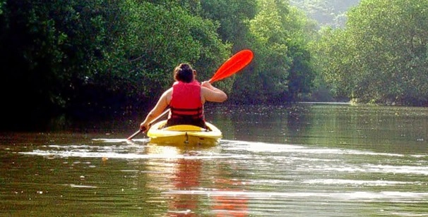 kayaking-goa