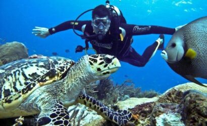 scuba-diving-andaman-nicobar-island-havlock