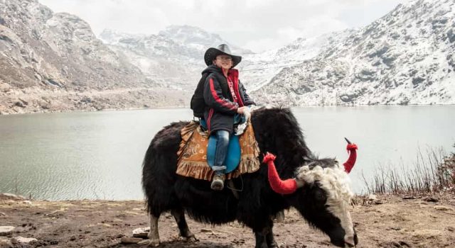 yak-ride-kufri-shimla